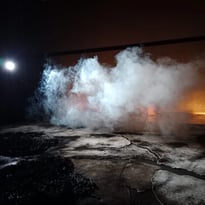 La Timidité des cimes