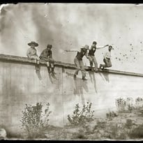 Les trésors photographiques du Muséum