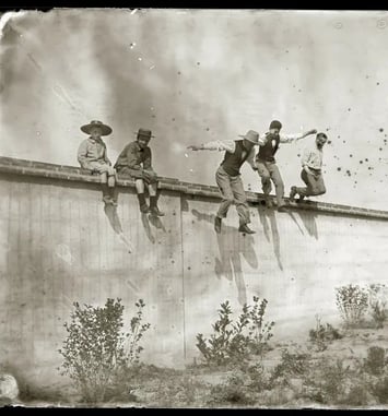 Les trésors photographiques du Muséum