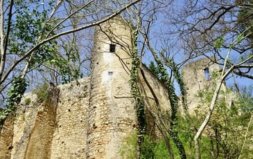 Visite libre du château