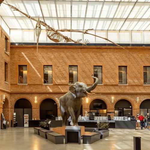 Un Muséum engagé autour de patrimoines dits "sensibles" 1