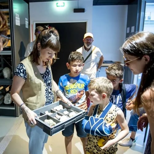 Visite de la Réserve pédagogique 1
