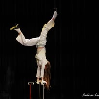Cirque en pièce(s) #8