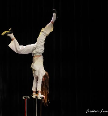 Cirque en pièce(s) #8