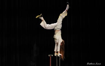 Cirque en pièce(s) #8