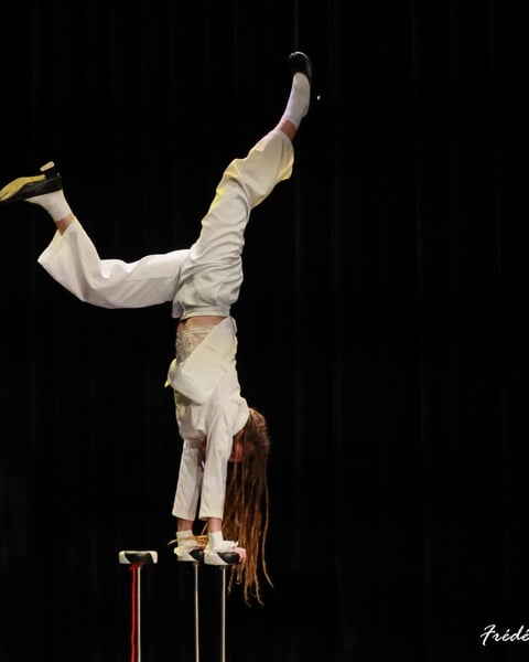 Cirque en pièce(s) #8