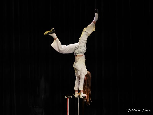 Cirque en pièce(s) #8