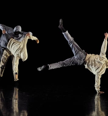 Compagnie Inéluctable – Seuil