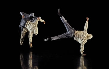 Compagnie Inéluctable – Seuil