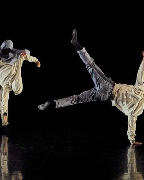 Compagnie Inéluctable, Seuil
