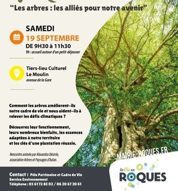Ville, climat, biodiversité : l'arbre comme trait d'union.
