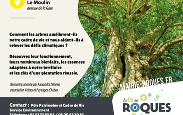 Ville, climat, biodiversité : l'arbre comme trait d'union.