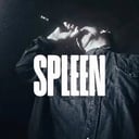Spleen
