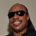 Stevie Wonder