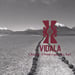 vidala