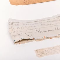 Visites guidées des réserves