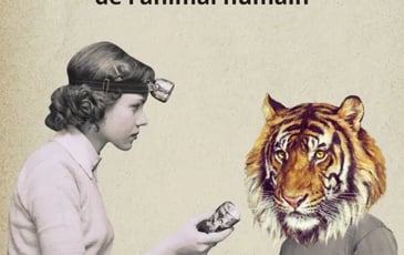 Enquête de terrain