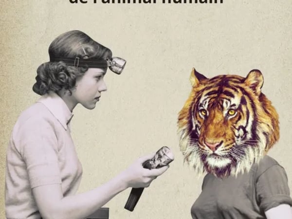Enquête de terrain