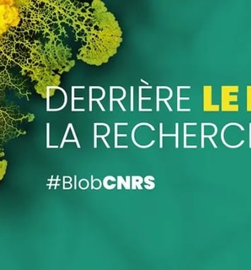 Derrière le blob, la recherche