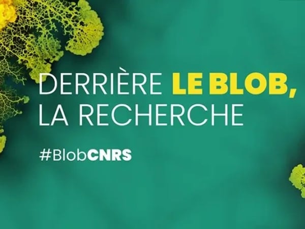 Derrière le blob, la recherche