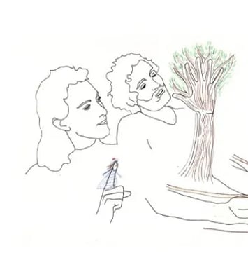 Myla et l’arbre-bateau
