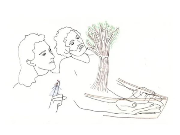 Myla et l’arbre-bateau