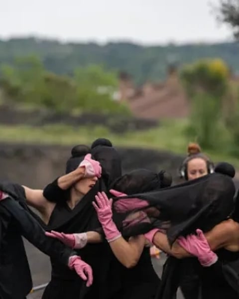 Le lichen prend racine comme Rosa prend le bus