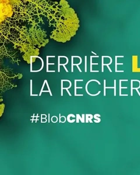 Derrière le blob, la recherche