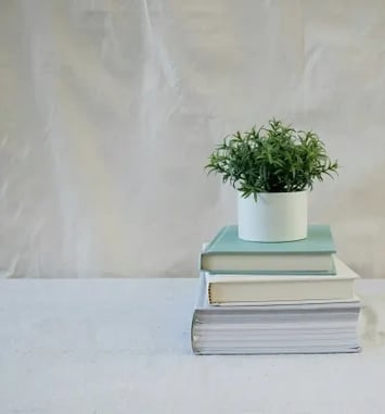 Photographie : Un livre, une plante