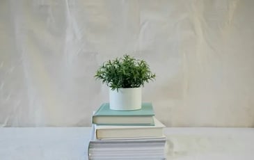 Photographie : Un livre, une plante