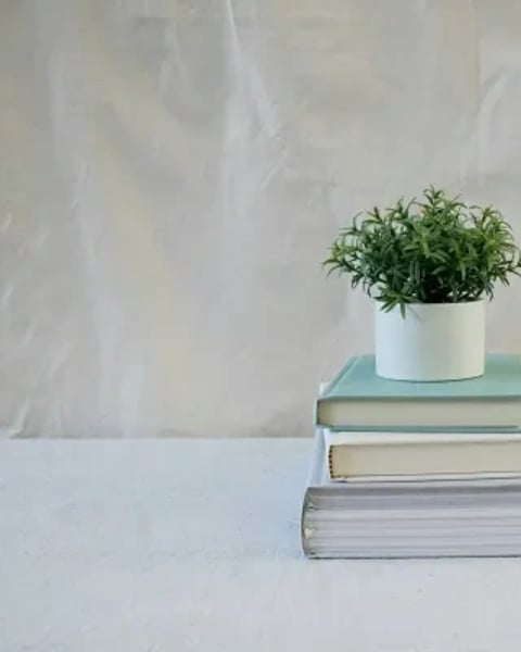 Photographie : Un livre, une plante