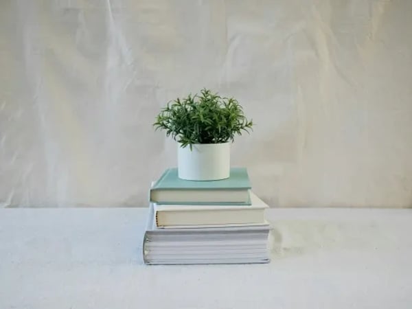 Photographie : Un livre, une plante