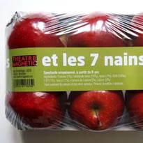 Et les 7 nains