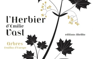 Les herbiers d'Émilie Vast