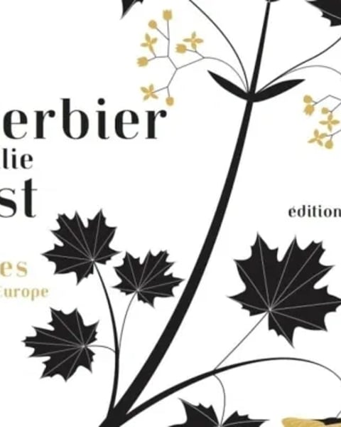 Les herbiers d'Émilie Vast