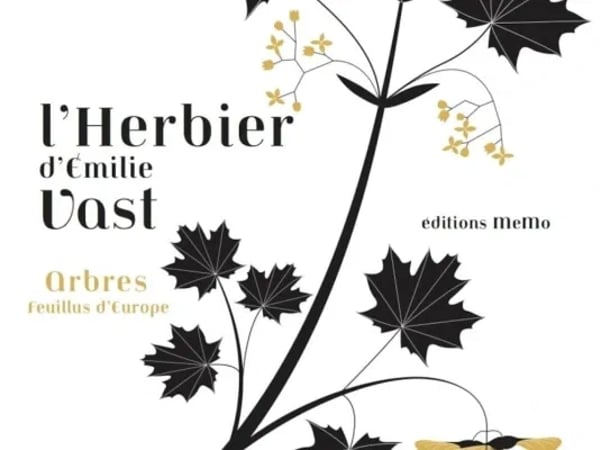 Les herbiers d'Émilie Vast