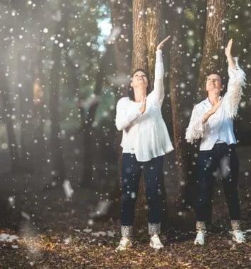 Premières Neiges