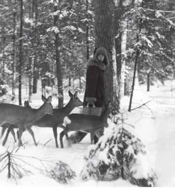 Dans la forêt