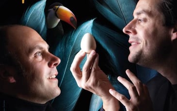 Les Chanteurs d'Oiseaux