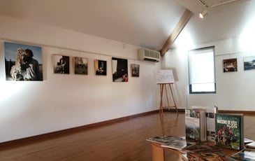 Faites entrer l’art chez vous, Artothèque