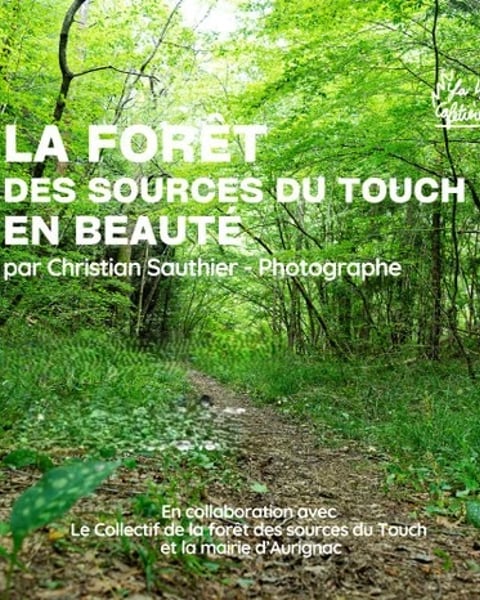Exposition La Forêt des Sources du Touch en Beauté