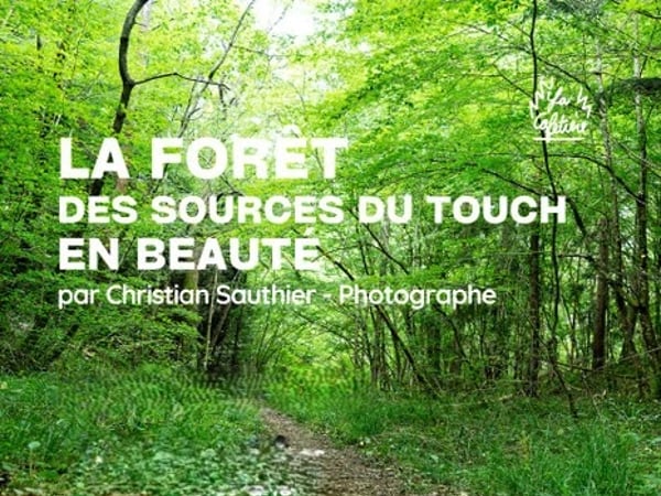 Exposition La Forêt des Sources du Touch en Beauté