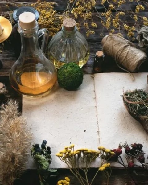 Plantes magiques et bêtes mystérieuses