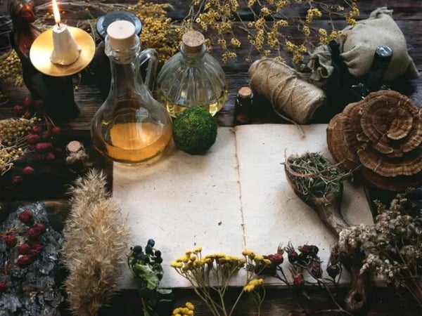 Plantes magiques et bêtes mystérieuses