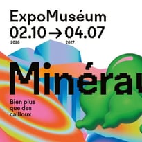 Minéraux, bien plus que des cailloux