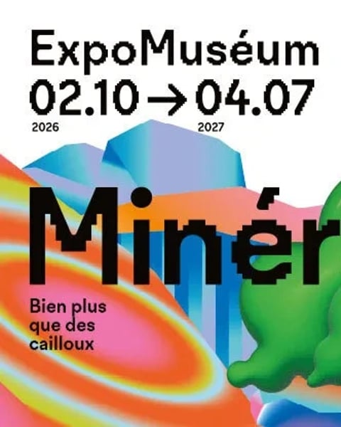 Minéraux, bien plus que des cailloux