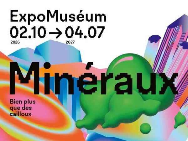 Minéraux, bien plus que des cailloux