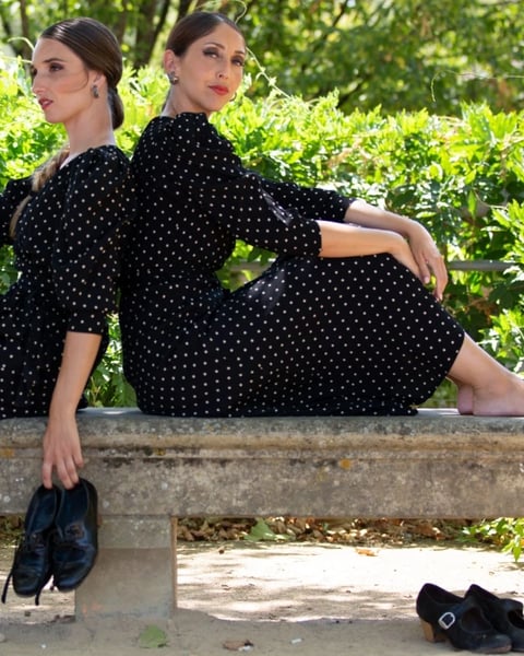 Cuadro Flamenco • Cie Ls'arte - Association Lunares