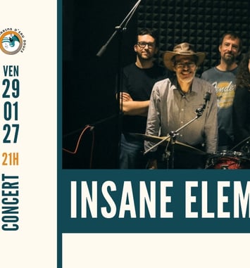 Insane Element