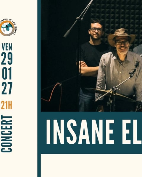 Insane Element